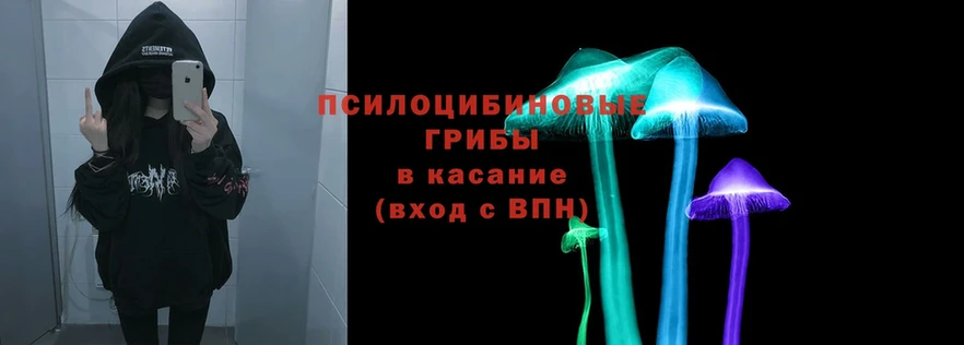 Псилоцибиновые грибы Magic Shrooms  Ангарск 